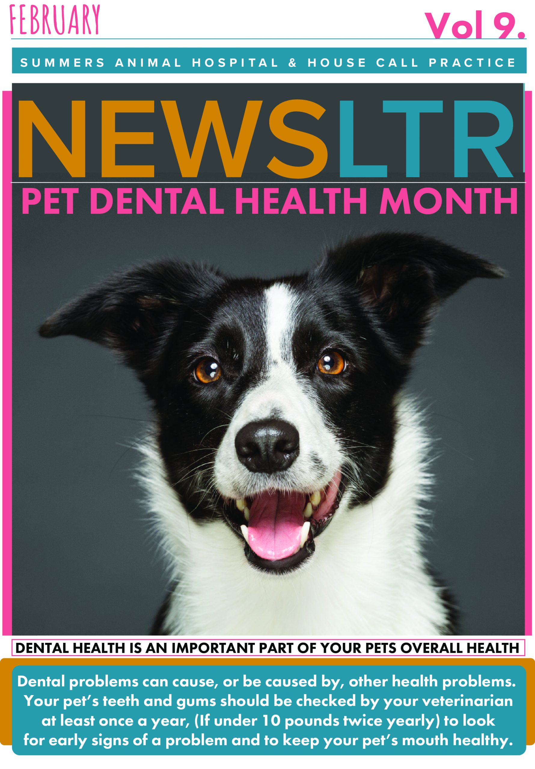 February 2023 Newsletter Summer's Animal Hospital & House Call Practice