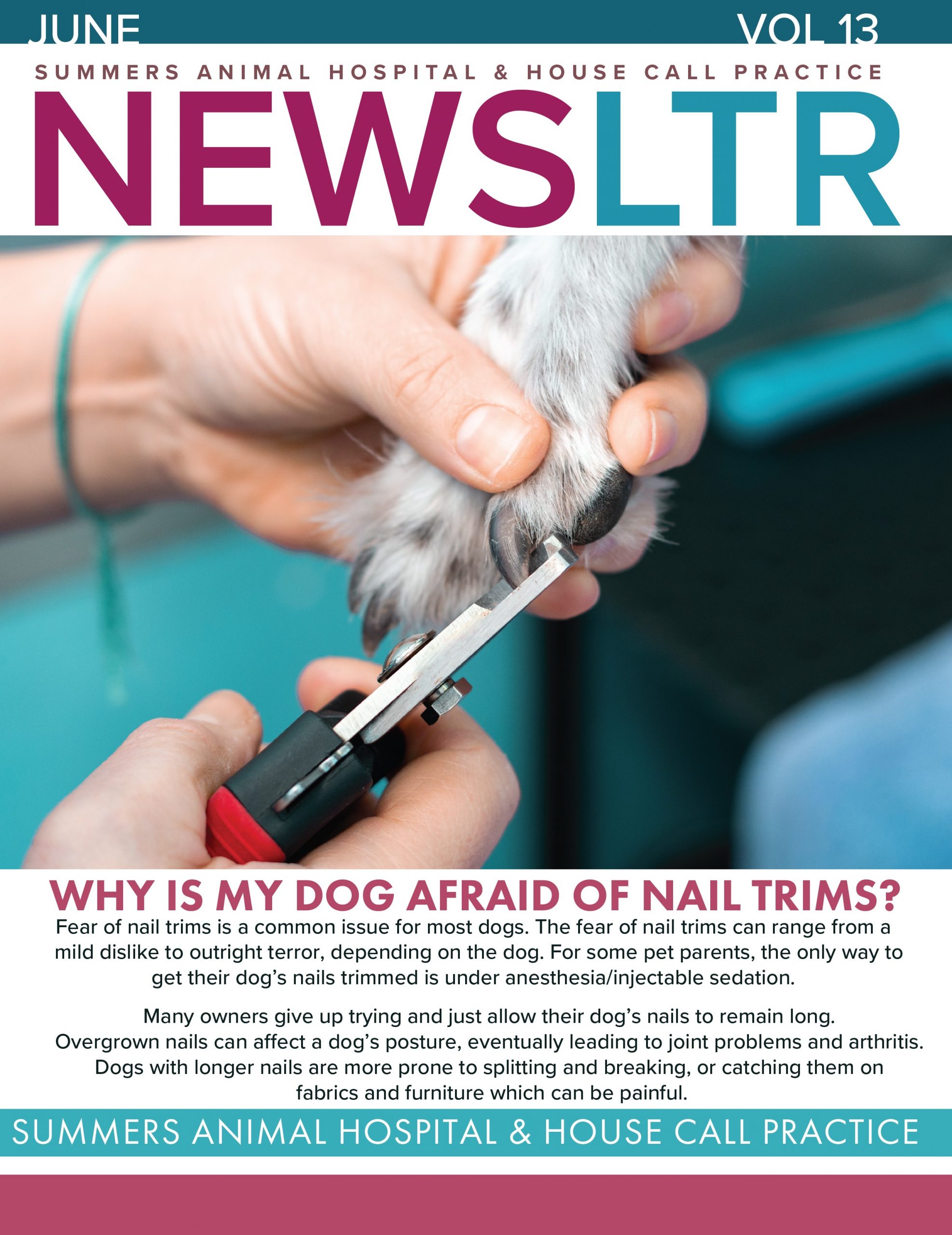 Why is my dog afraid of nail trims? Summer's Animal Hospital & House